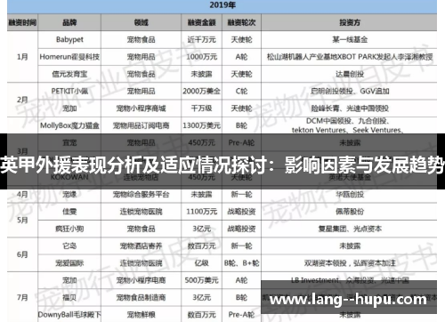 英甲外援表现分析及适应情况探讨:影响因素与发展趋势 英甲外援表现分析及适应情况探讨:影响因素与发展趋势