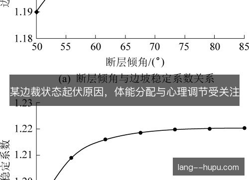 某边裁状态起伏原因，体能分配与心理调节受关注